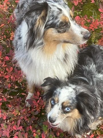 Bridger and Nahla
