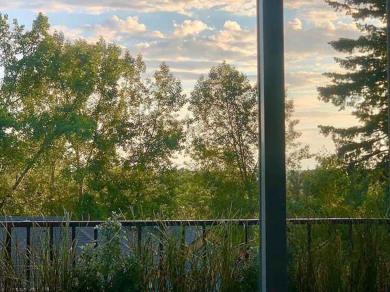 Green, open view from the living room sofa