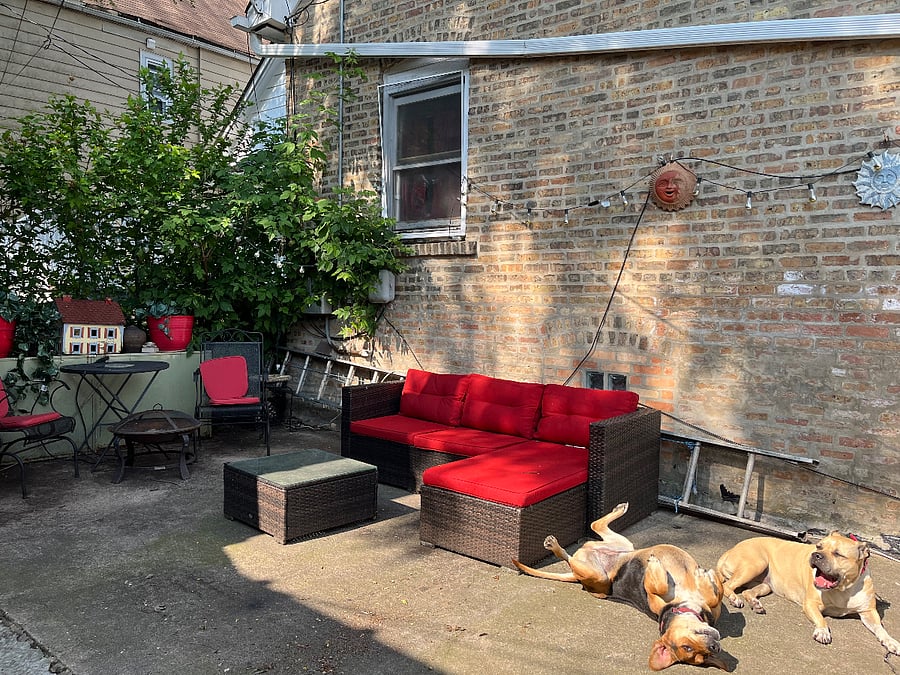 Furnished Finder property 428697_1 photo 12