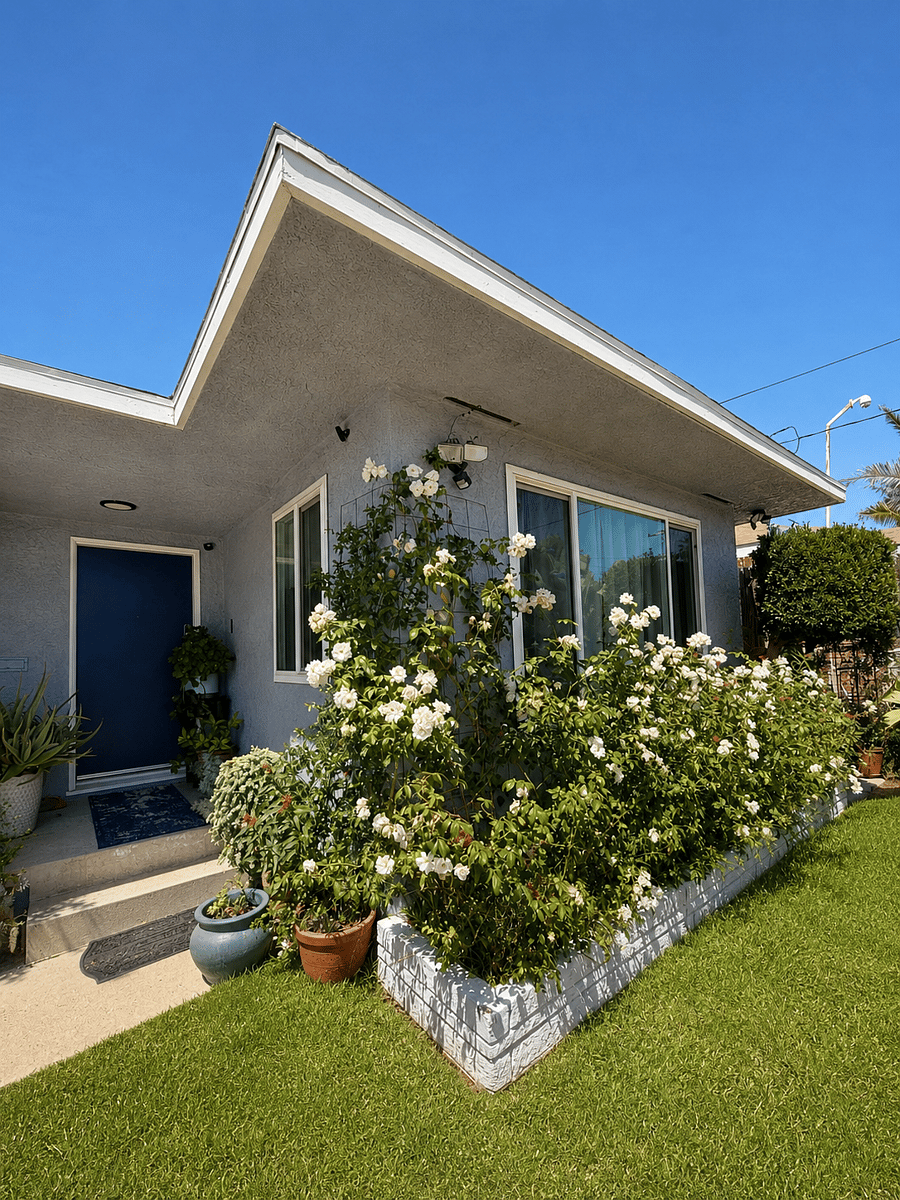 Furnished Finder property 428782_2 photo 10
