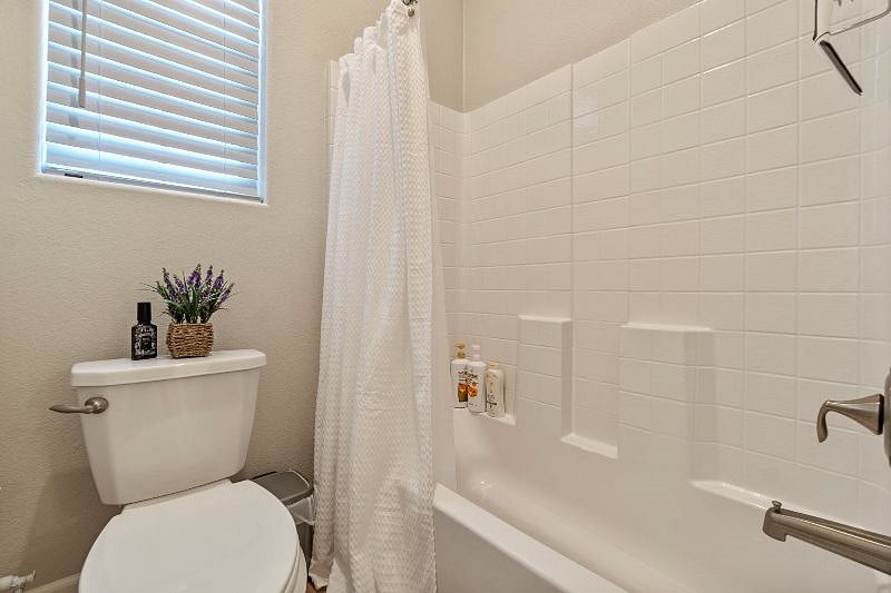 Furnished Finder property 428860_1 photo 15
