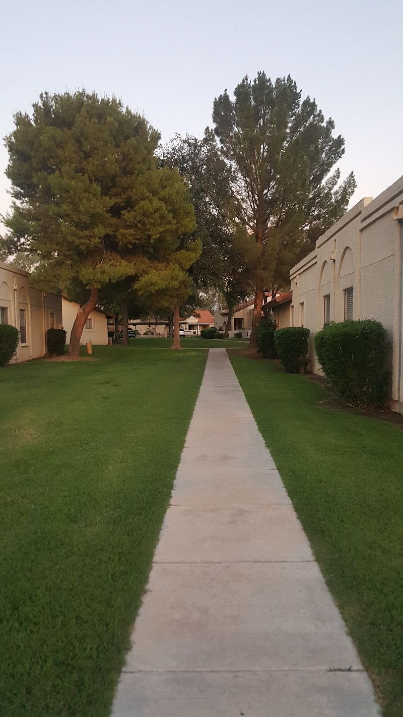 Furnished Finder property 428888_1 photo 16