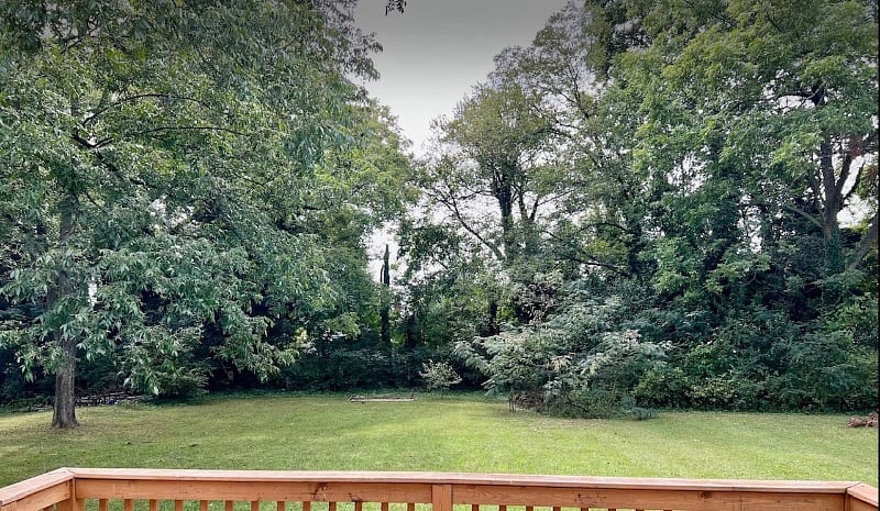 Furnished Finder property 428910_2 photo 11