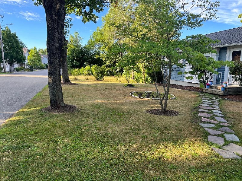 Front Yard