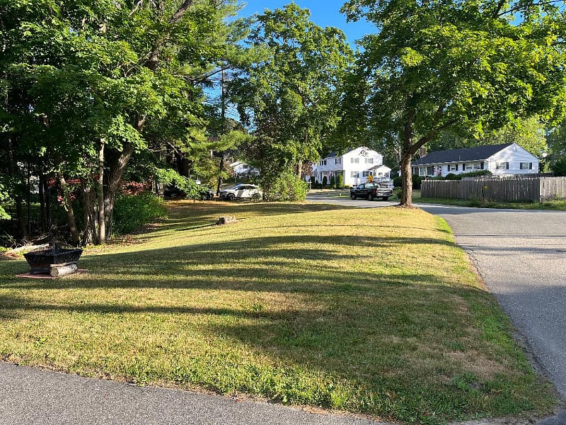 Side Yard