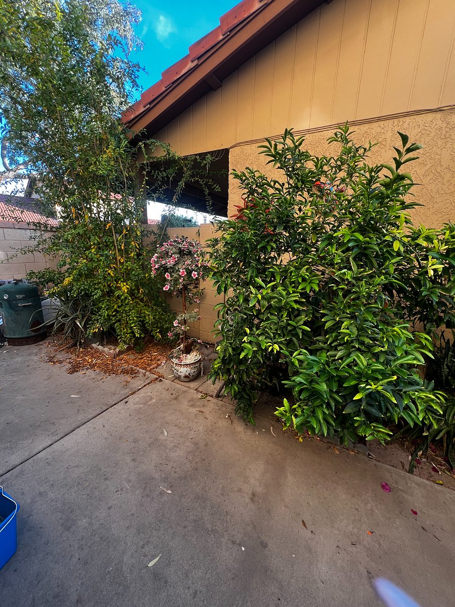 Furnished Finder property 429420_1 photo 25