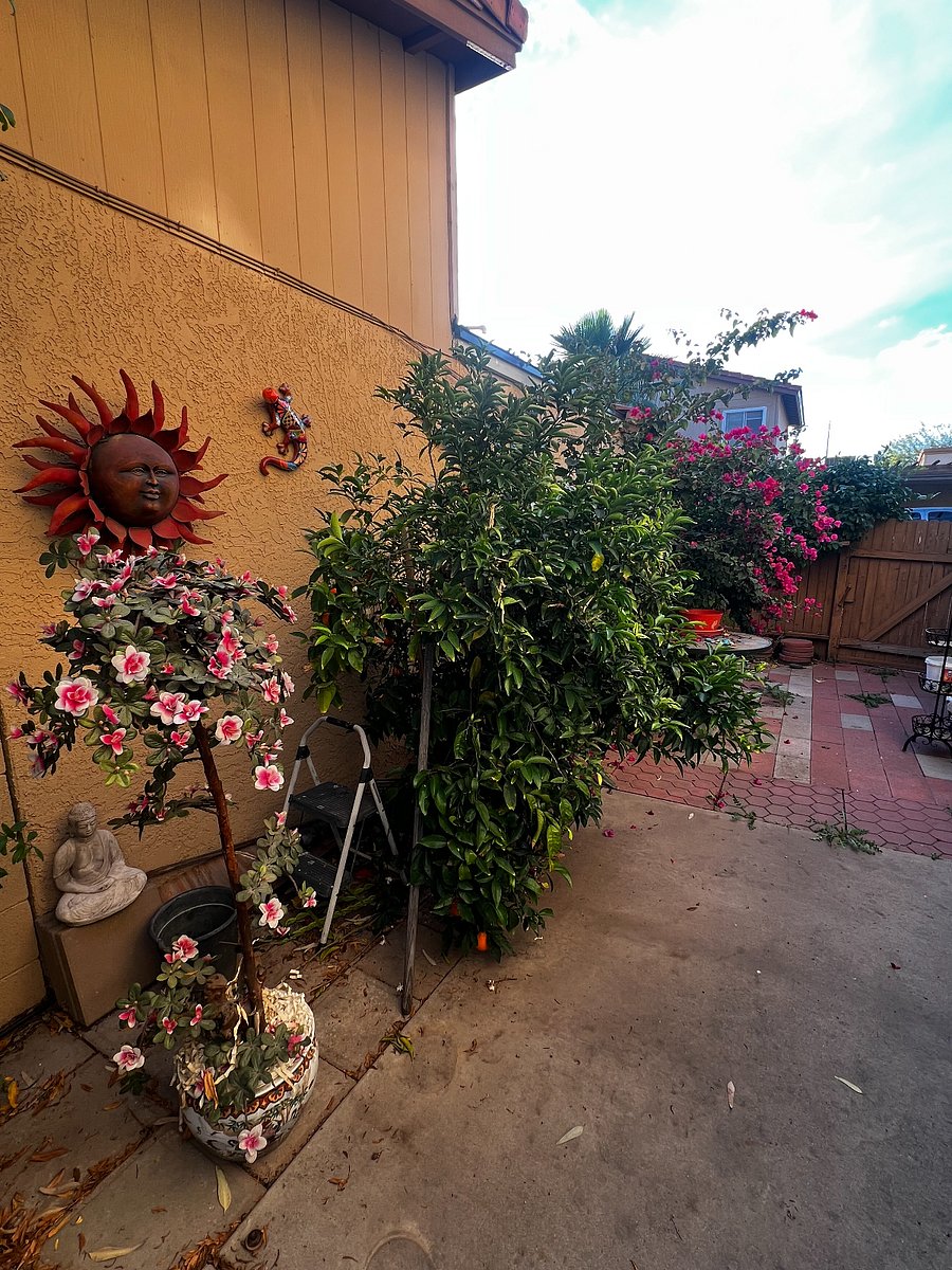 Furnished Finder property 429420_1 photo 26