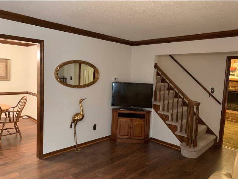 Furnished Finder property 429541_1 photo 4