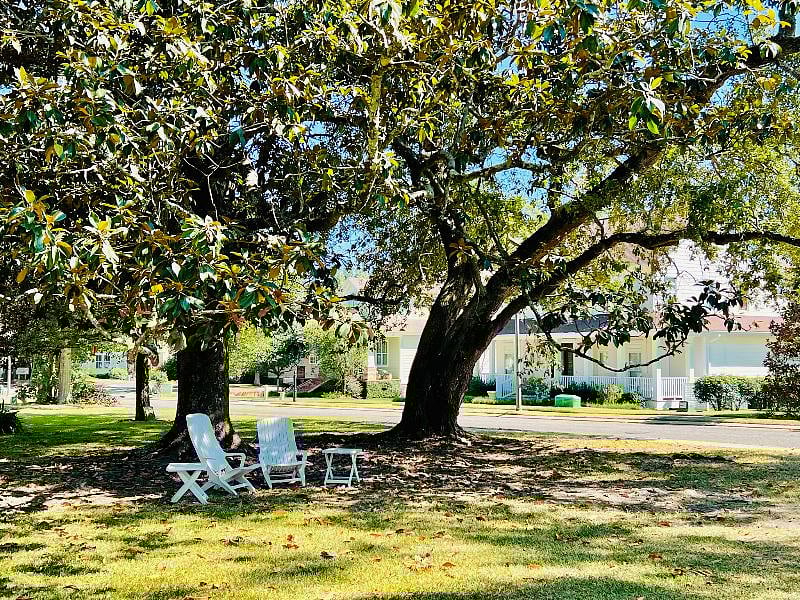Furnished Finder property 429593_1 photo 13