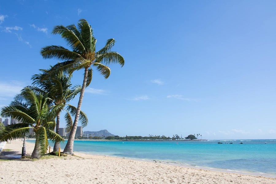 Ala Moana Beach Park, just 14 minutes away, is one of our top picks. Enjoy a sandy beach, calm waters for swimming, a relaxed atmosphere, and beautiful sunset views! Easy and free parking.