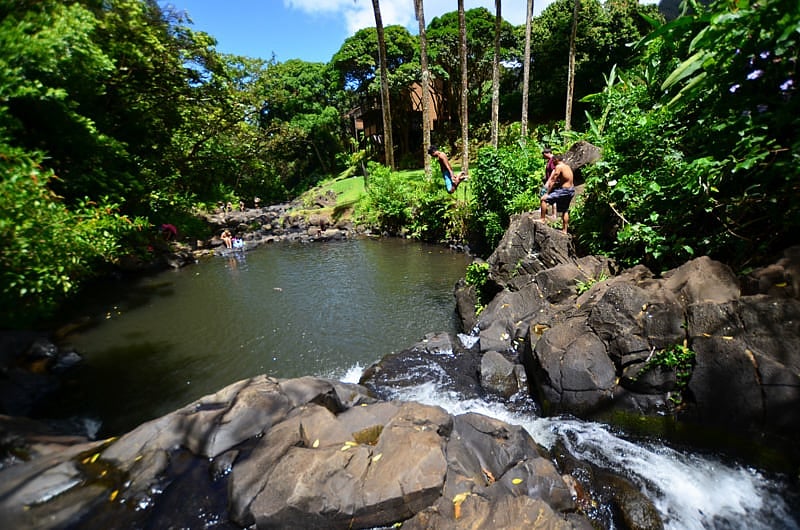 Jackass Ginger Pool at Judd Trail