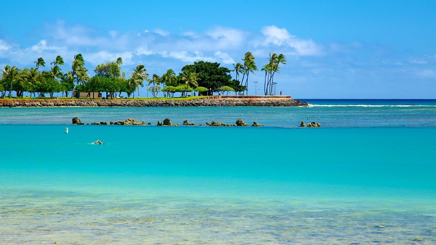 Ala Moana Beach Park, just 14 minutes away, is one of our top picks. Enjoy a sandy beach, calm waters for swimming, a relaxed atmosphere, and beautiful sunset views! Easy and free parking.