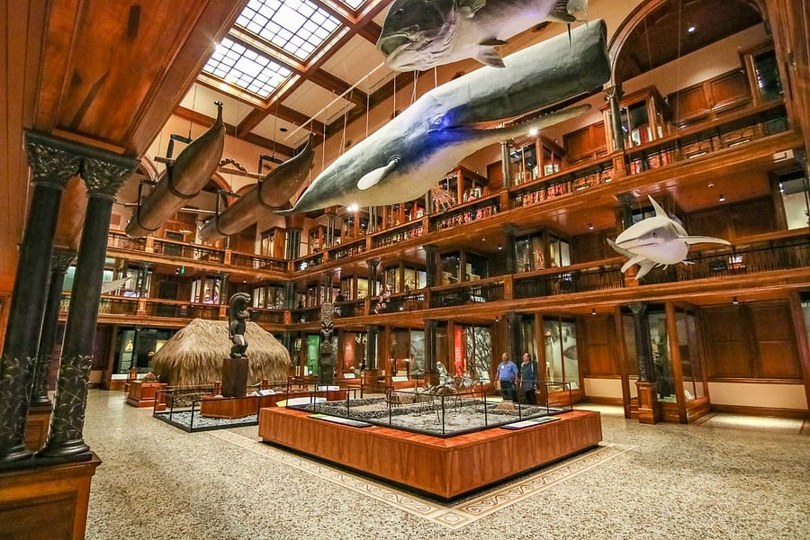 Bishop Museum is just 6 minutes away. Explore Hawaii's awesome natural and cultural history!