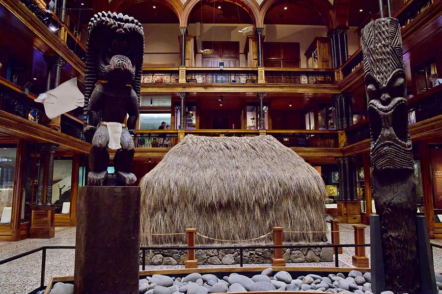 Bishop Museum is just 6 minutes away. Explore Hawaii's awesome natural and cultural history!