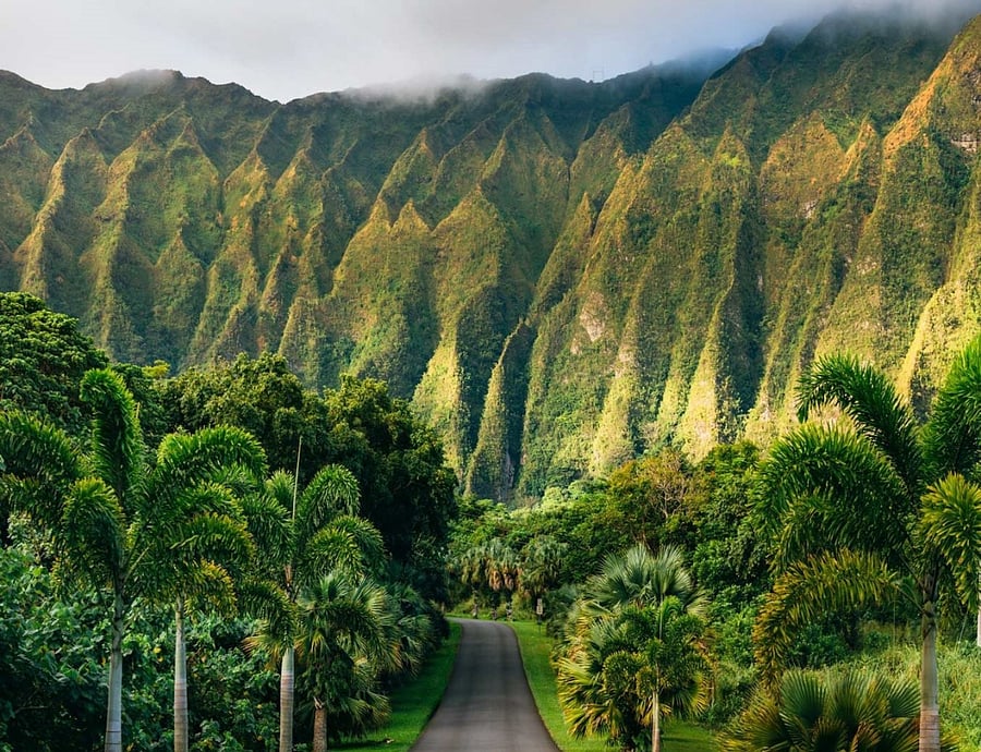 Hoomaluhia Botanical Garden - 22 minutes away. Extraordinary pictures are guaranteed!
