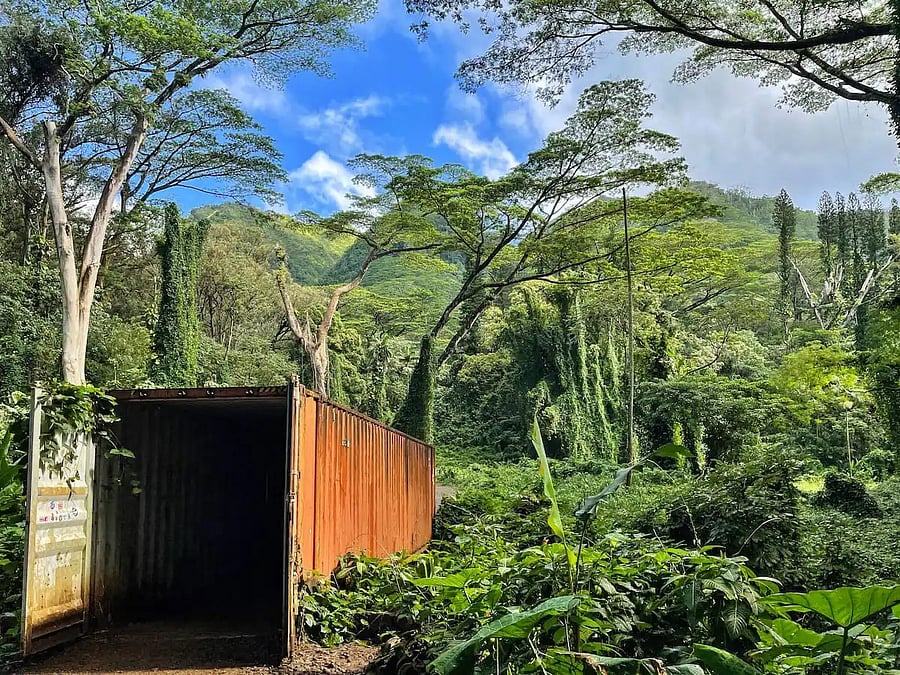 Mnoa Falls Trail - 23 minutes away. This picturesque rainforest trail leading to Mnoa Falls has appeared in several movies.