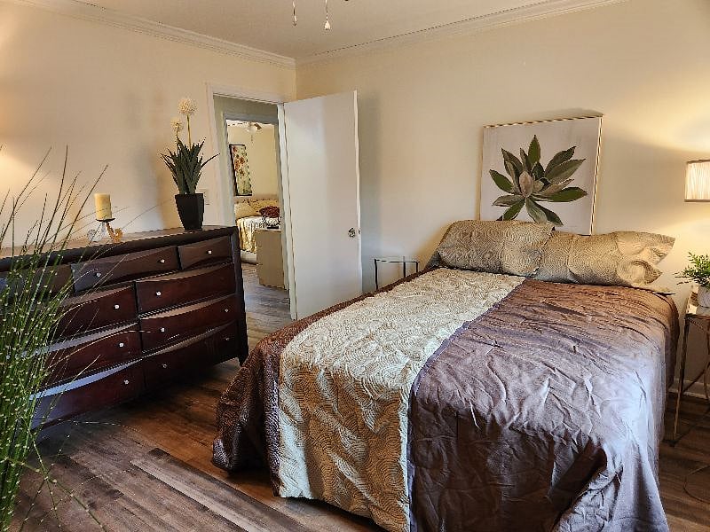 Furnished Finder property 430081_1 photo 13