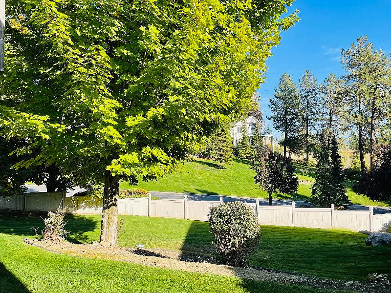 Outside yard space