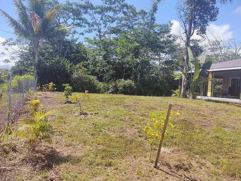 large yard to relax