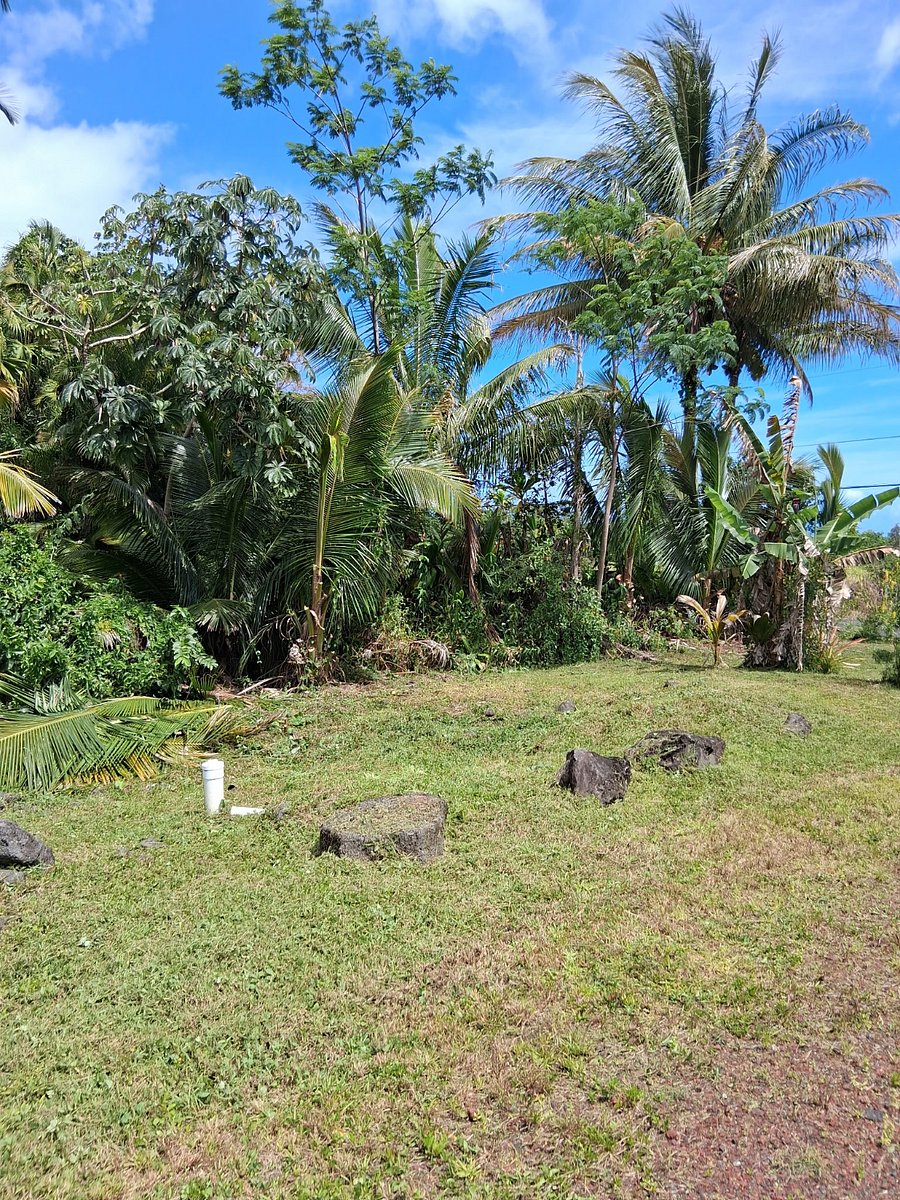 Furnished Finder property 430441_1 photo 15