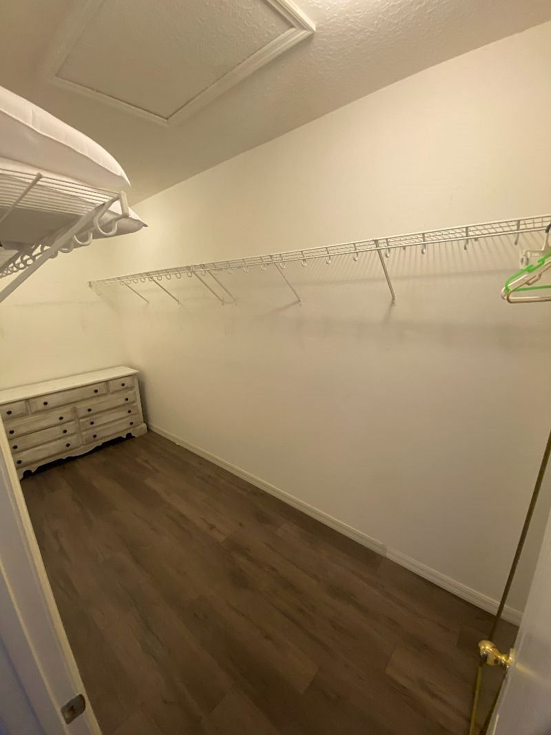 Master huge walk-in closet