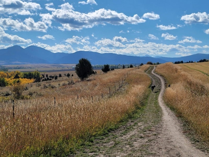 Furnished Finder property 430593_1 photo 50