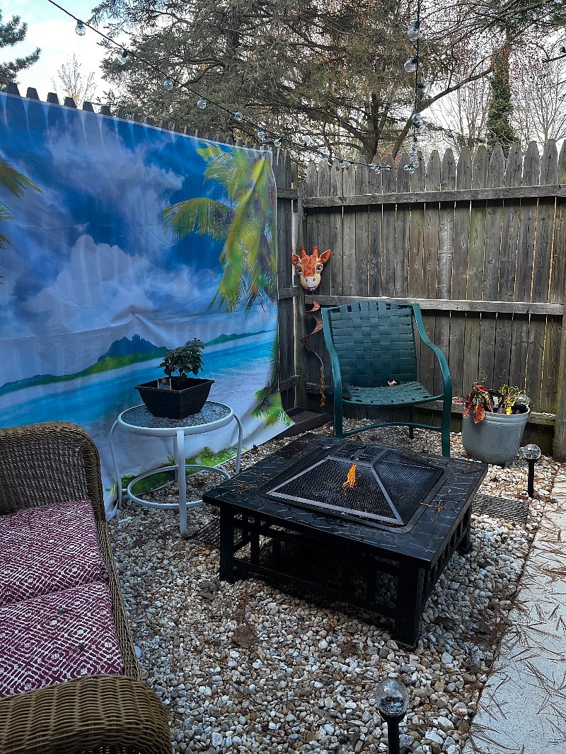Furnished Finder property 430758_1 photo 28
