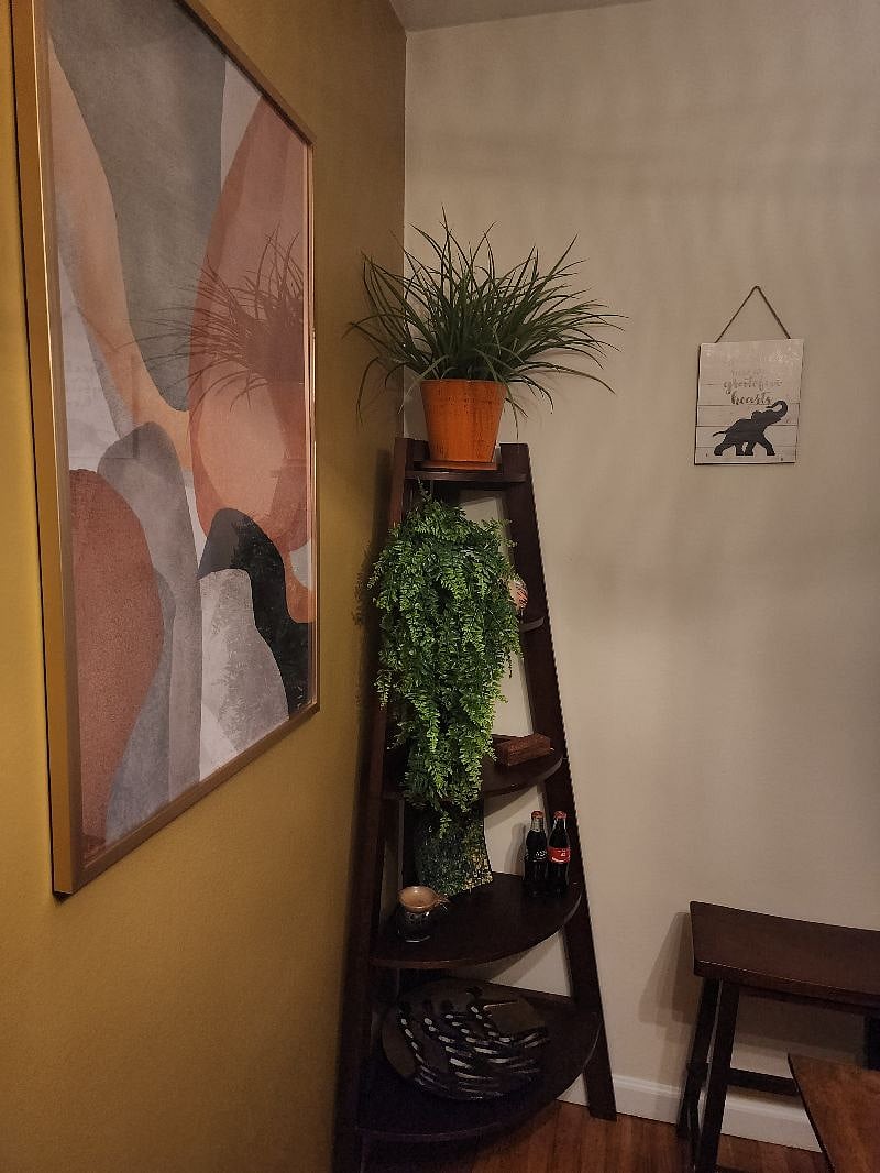 Furnished Finder property 430775_1 photo 15