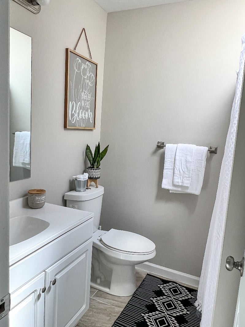 Master Full Bathroom