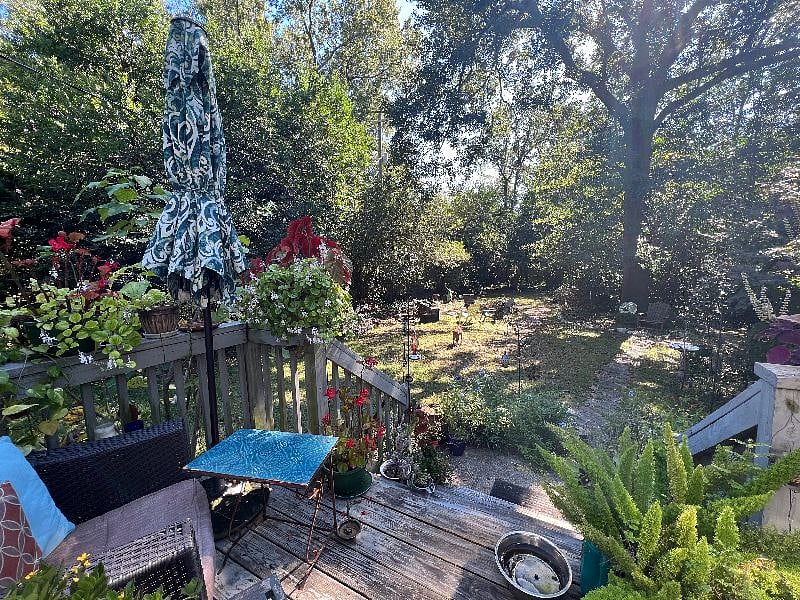 spacious and calm back yard