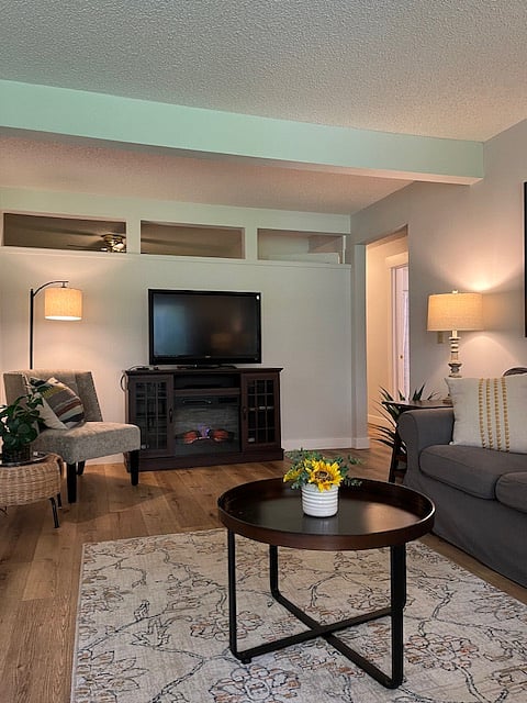 TV with fireplace