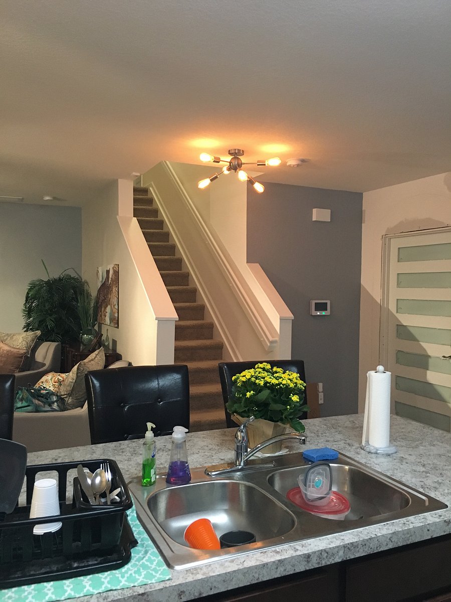 Furnished Finder property 431279_1 photo 8