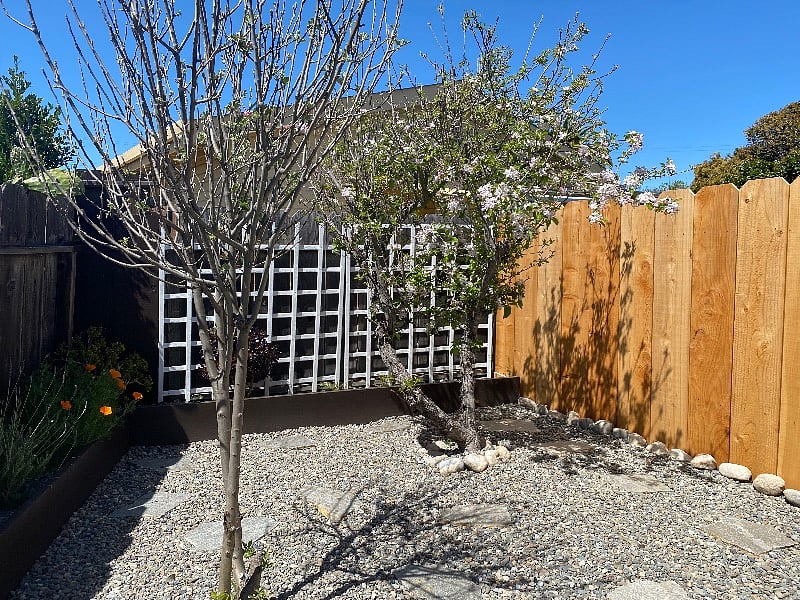Furnished Finder property 431550_1 photo 25