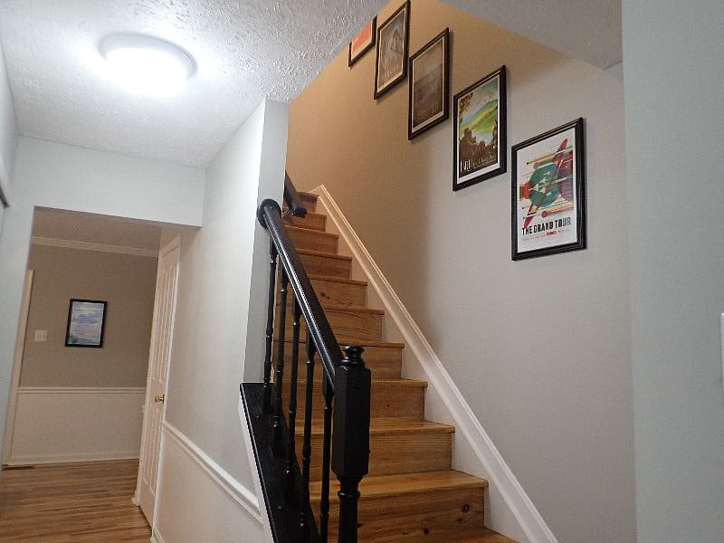 Furnished Finder property 431580_1 photo 3