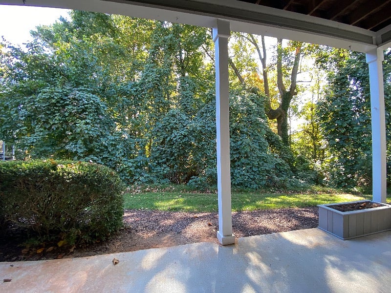 Furnished Finder property 431880_1 photo 41