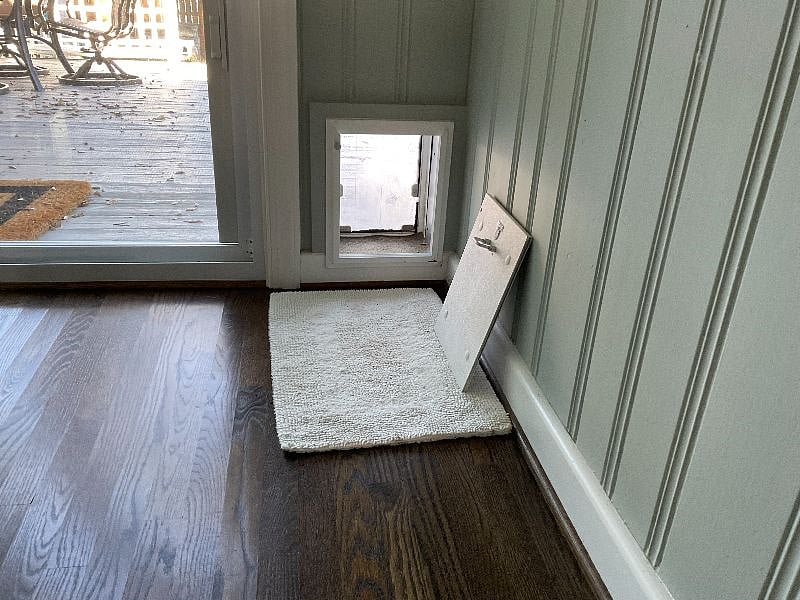 Doggie door for small dog - under 18 lbs
