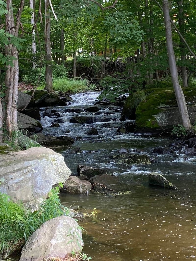 Enjoy the sound track of a babbling brook at Holiday Park.