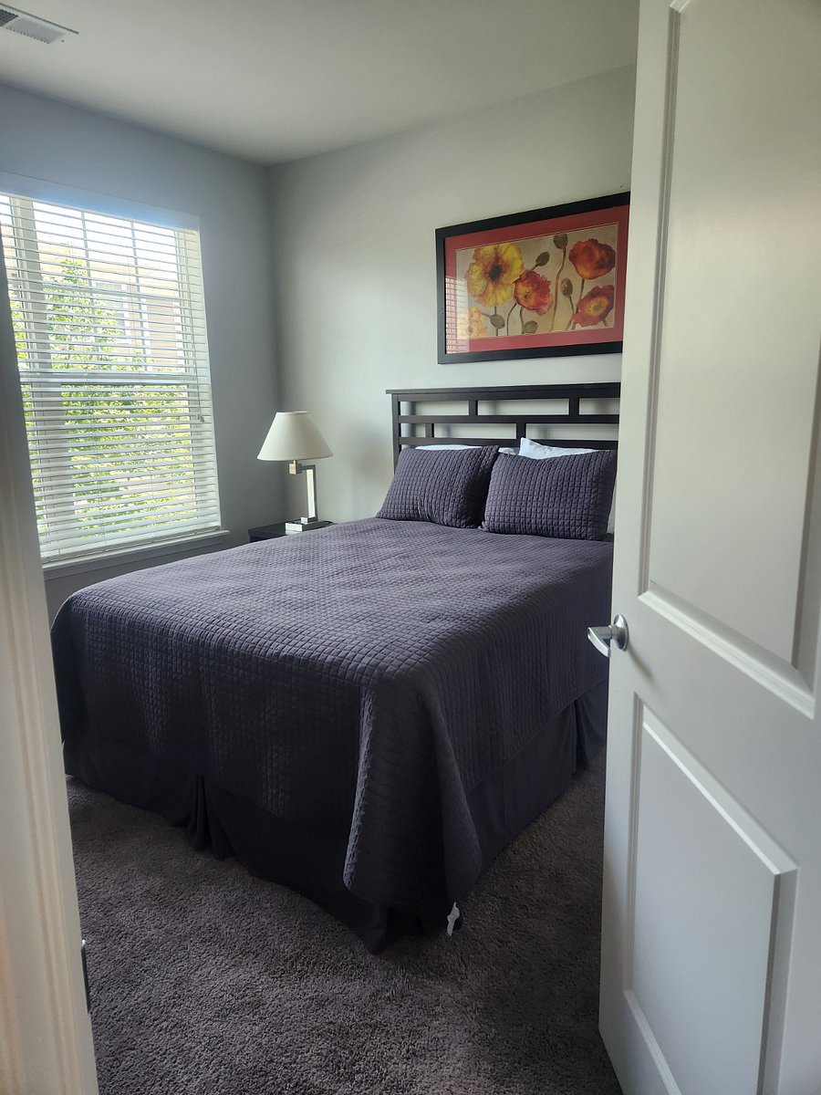 Furnished Finder property 432380_1 photo 4