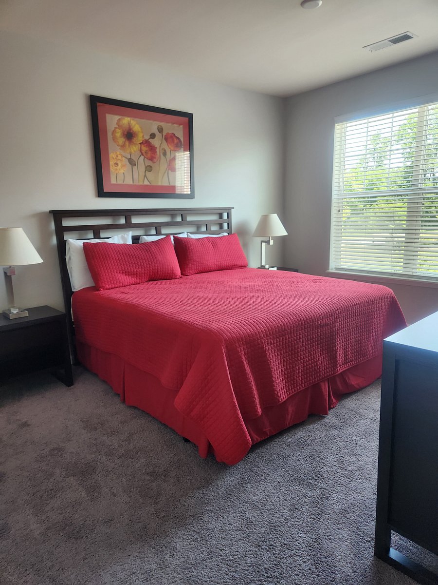 Furnished Finder property 432380_1 photo 7