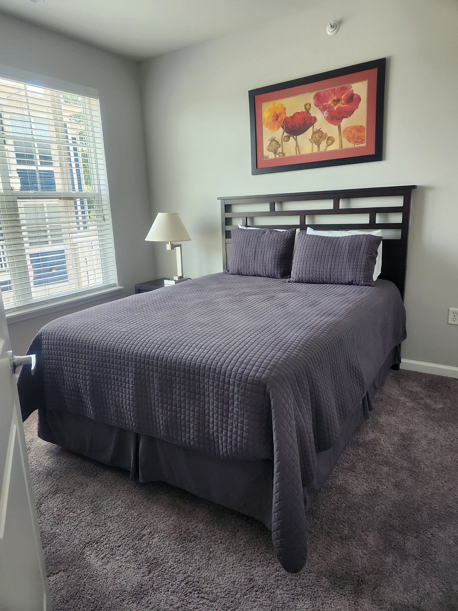 Furnished Finder property 432380_1 photo 11