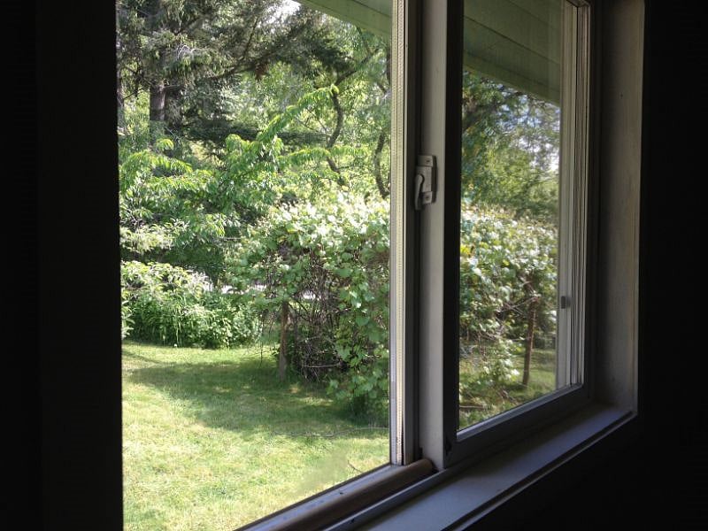 View from the MIL into the peaceful backyard with fruit trees and "grape cave" arbor.