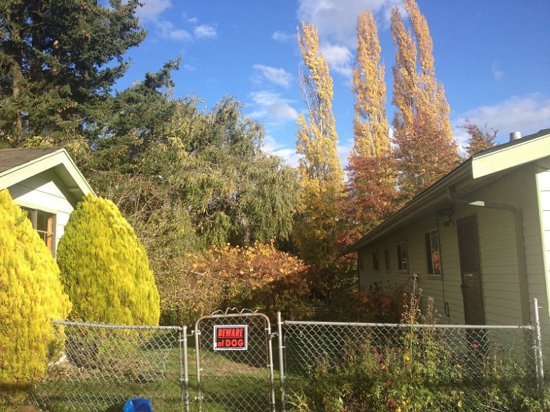 This is the entry area to the MIL apartment which is at the back of the main house, on the right. Your car can be parked next to your entry in the lighted private driveway, for easy access and a dedicated parking area for your use. The small outbuilding is currently in use by the owner, but you can stash your bike if needed.