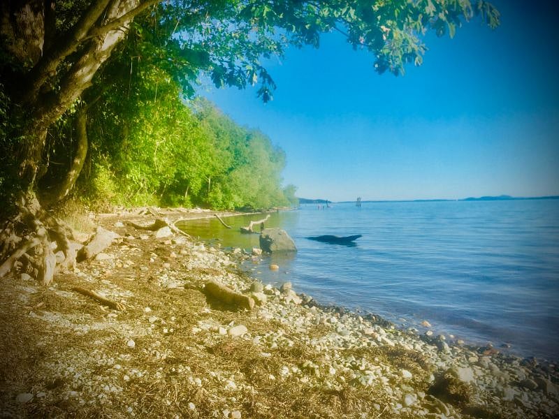 Locust beach, in our neighborhood.