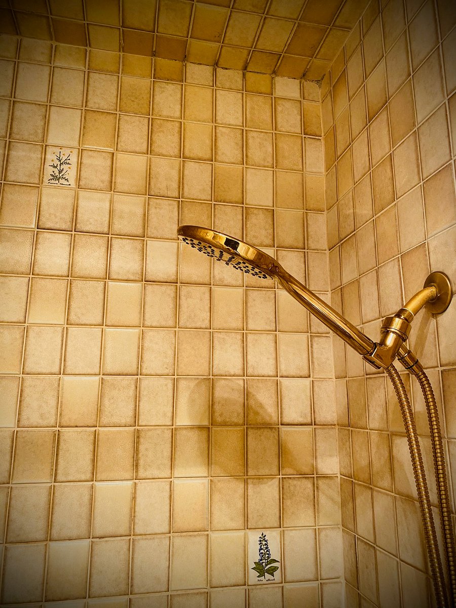Handheld shower