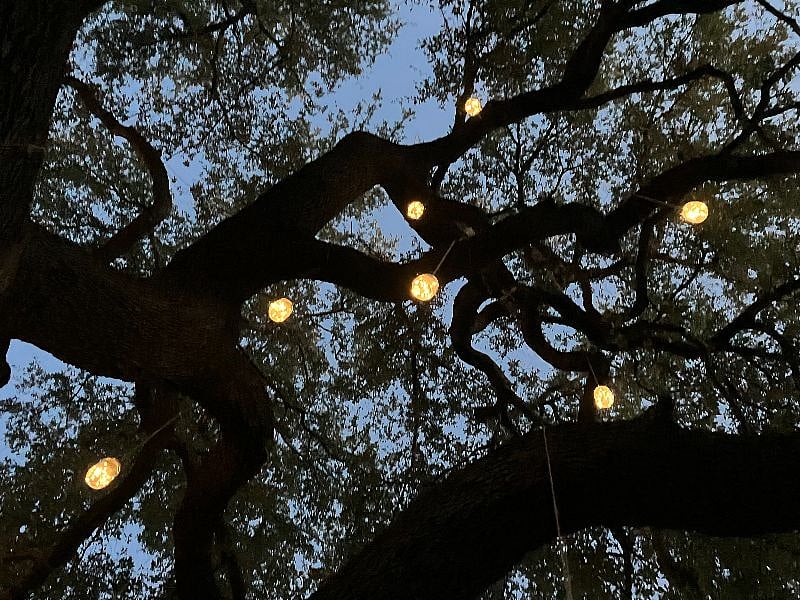 Another view of the fairy lights!