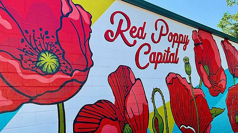Georgetown is the Red Poppy Capital, and the displays in the spring are jaw-dropping.