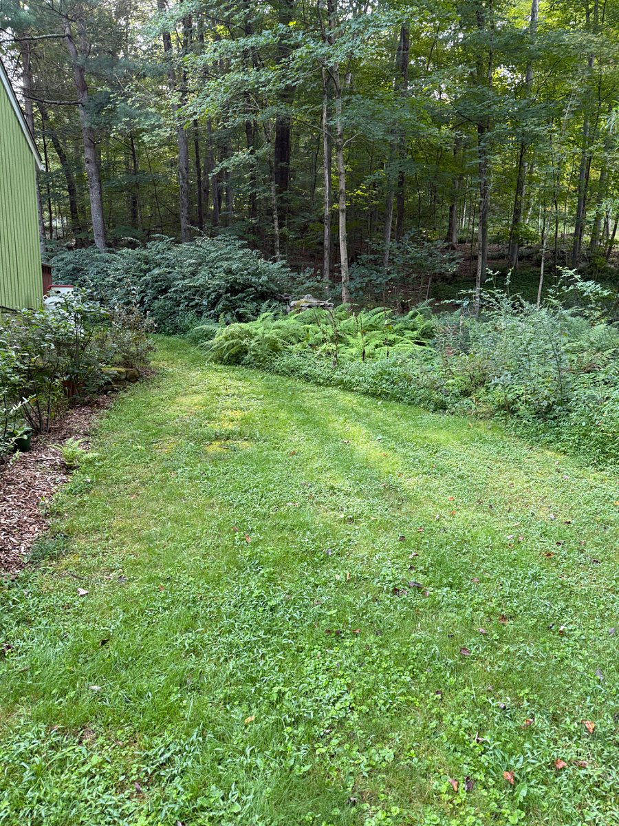 Furnished Finder property 432929_3 photo 10