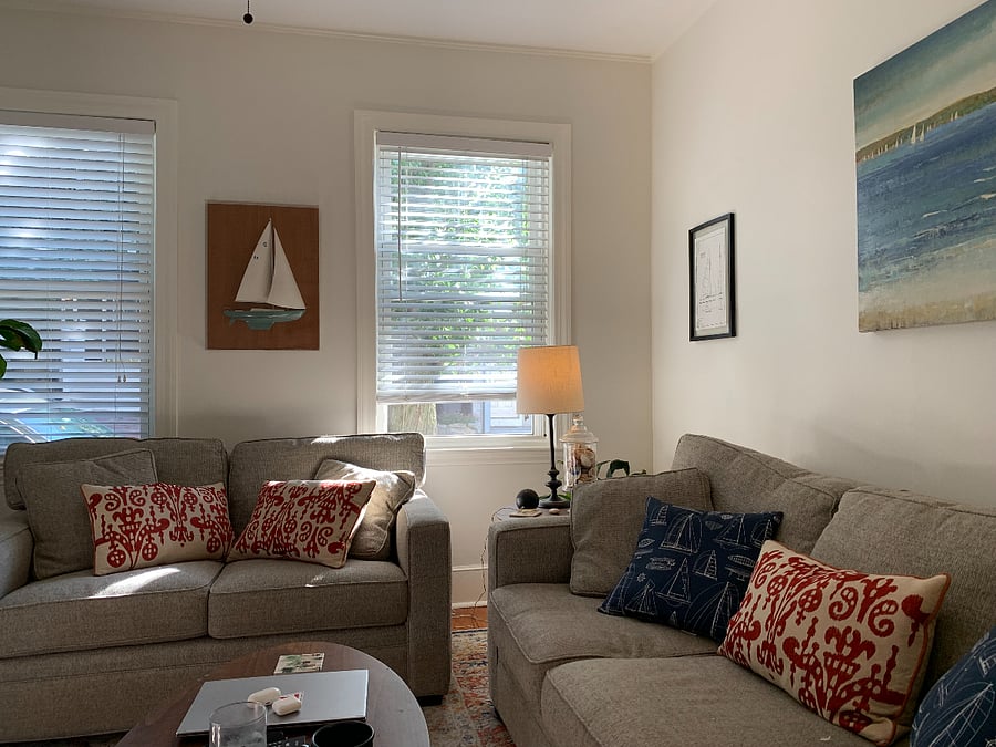 South Boston- sunny front living room, great for morning coffee
