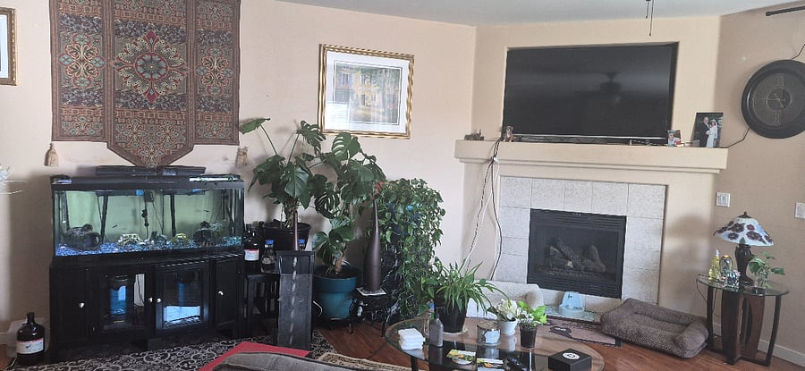 Furnished Finder property 433095_1 photo 14