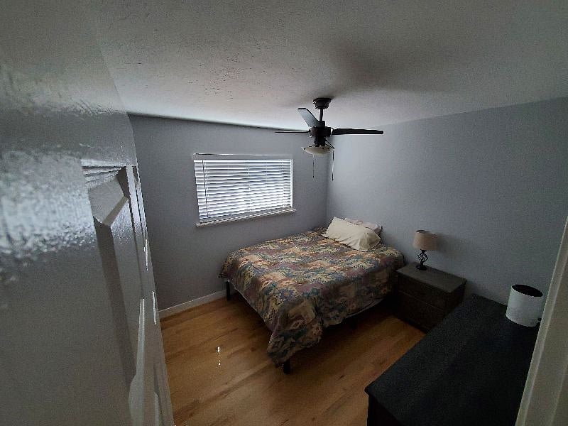 Furnished Finder property 433192_1 photo 5